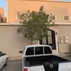 شقق للايجار