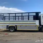 نقل غنم ونحل