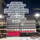 بيت شعر شحيمي الطول 7 العرض 5 السوم 3500 والبيع قريب