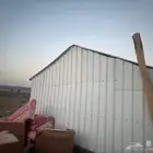 صندقه