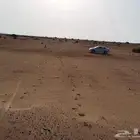 للبيع نصف ارض حي الوداد طيبة الفرعية 250 الف