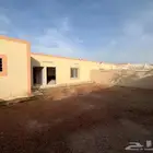 تاهو