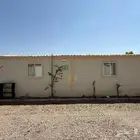 كرفان ساندويش بنال