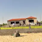 تركيب القرميد