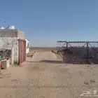 تقبيل محل سكراب في رفايع الجمش للتفاصيل...