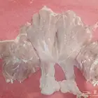 شاورما دجاج
