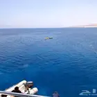 رحلة ميني سفاري 3 ايام بالغردقة