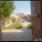 استرحه بنبان للايجار