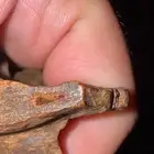 نوادر الكمبودي القديم صك اندرووتر