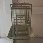 قفص ببغاوات كبيرة