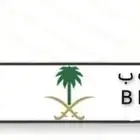 لوحه مميزه للبيع خصوصي جاهزه للنقل