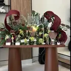 تأجير طاولة شبكة