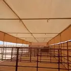 يوجد لدينا مضلات ابل جميع المقاسات