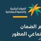 تقديم الضمان