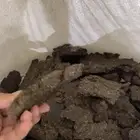 تخ علف مواشي