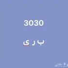 لوحة مميزة 3030