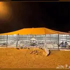 خيام وبيوت الشعر التركيه الاصليه خياطه يدوي