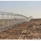 مقاول شبوك fans