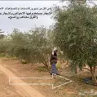 احواض زراعية