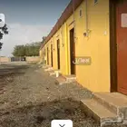 جازان الزهور