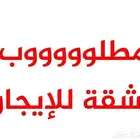 مطلوبك شقه للإيجار عوائل