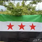 علم سوريا