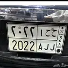 للبيع لوحه اوراقها جاهزه