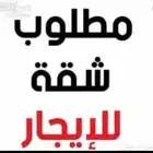 مطلوب شقه