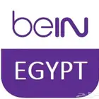 تجديد بي ان رسيفر مصري فقط