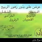 عندك ارض وتبي تزرعها بذور ربيعية .. تفضل ويوجد بذور برية