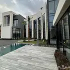حجر طبيعي