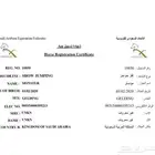 حصان قفز انجليزي بطل