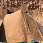 دفان احمر قلاب سقس