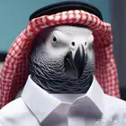 فندقة طيور يومي و أسبوعي