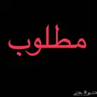 مطلوب جزار في ملحمة يكون معلم غنم حاشي بتلو