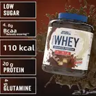 applied nutrition واي بروتين