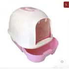 ليتر بوكس قط