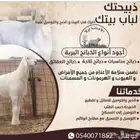 ذبائح حري سواكني تجهيز مناسبات