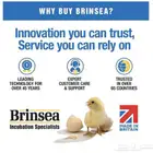 فقاسة برنسي 7 بيض دجاج 12 سمان