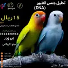 تحليل جنس طيور DNA