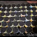 سارا عود وبخور دوسري أصلي بالذمه