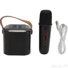 مكبر صوت كاريوكي محمول مع 2 ميكروفون لاسلكي