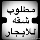 مطلوب شقه اجار شمال مكه