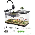 سلحفاه للبيع