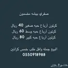 تمر صفري بيشه