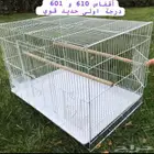 اقفاص 601 جمله