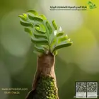 تصاريح بيئة معتمدة من المركز الوطني