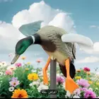 مجسم بط