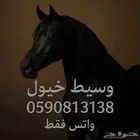 وسيط جميع النواع الخيول