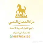 مزاد الحصان الذهبي يرحب بكم